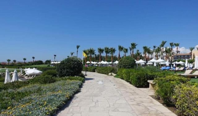 Sunset Seaview Studio Paphos Exterior foto